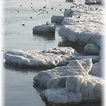 公寓 Mit Terrasse - Insel Usedom *