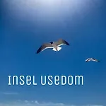 Mit Terrasse - Insel Usedom
