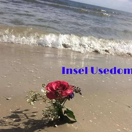 Apartamento Mit Terrasse - Insel Usedom