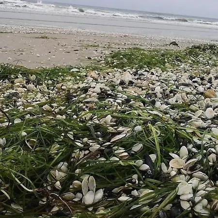 Mit Terrasse - Insel Usedom *