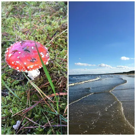 Mit Terrasse - Insel Usedom شقة