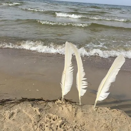 Mit Terrasse - Insel Usedom * 特拉森海德