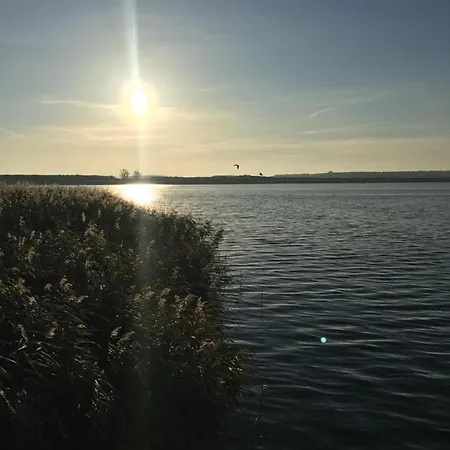 Mit Terrasse - Insel Usedom