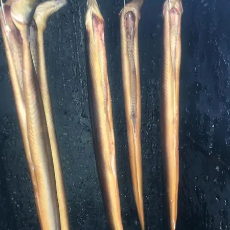 شقة Mit Terrasse - Insel Usedom *