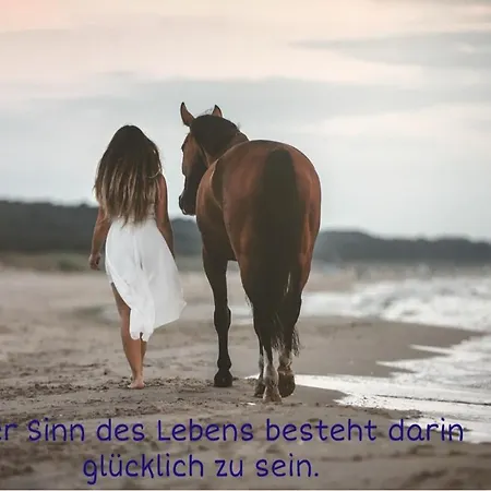 Mit Terrasse - Insel Usedom * 트라센하이드