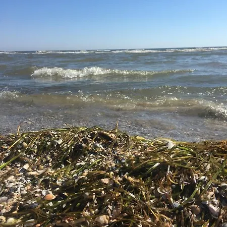 Mit Terrasse - Insel Usedom شقة *