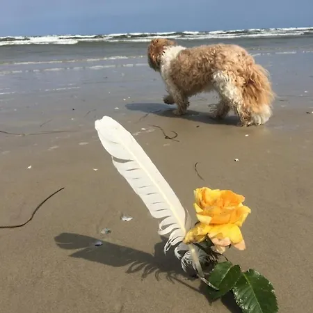 شقة Mit Terrasse - Insel Usedom *