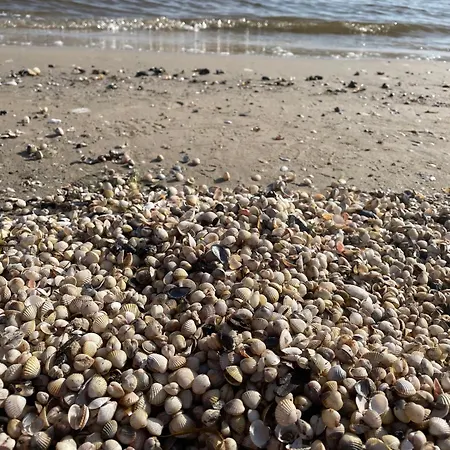 شقة Mit Terrasse - Insel Usedom *