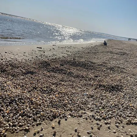 Mit Terrasse - Insel Usedom *