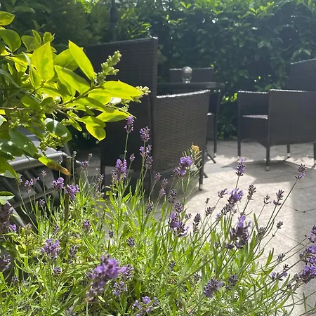 Mit Terrasse - Insel Usedom * تراسينهيد