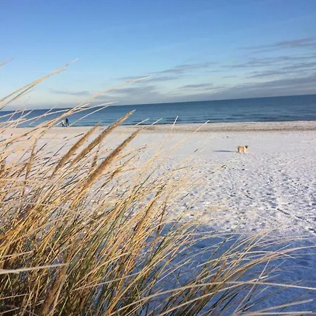 Mit Terrasse - Insel Usedom Apartamento *