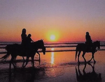 شقة Mit Terrasse - Insel Usedom *