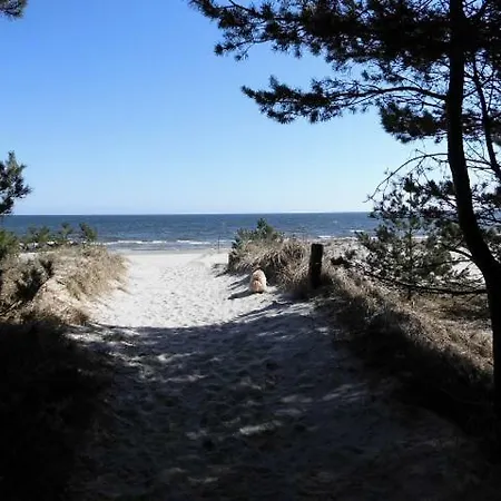 Mit Terrasse - Insel Usedom 아파트 트라센하이드