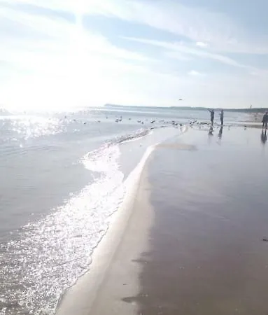 Mit Terrasse - Insel Usedom 公寓 *