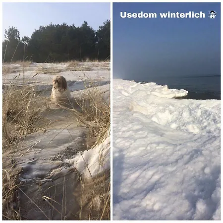 Mit Terrasse - Insel Usedom