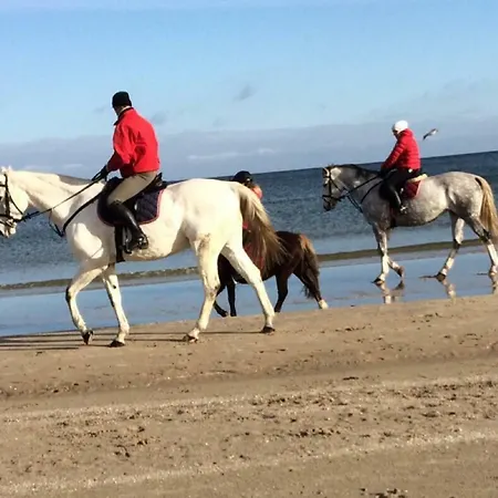 Mit Terrasse - Insel Usedom شقة